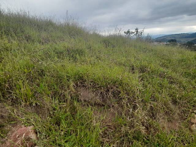 #289 - Área para Venda em Nazaré Paulista - SP